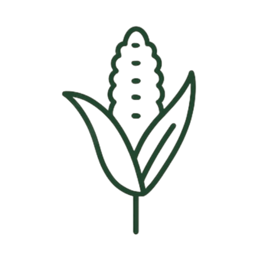 Materia prima vegetal